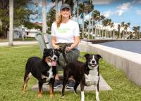 Palm Beach Canine image 5